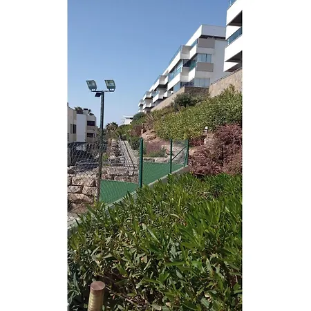 Sunny Garden